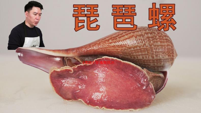 《美国大学:橄榄球26》封面明星揭晓!5月30日公布预告