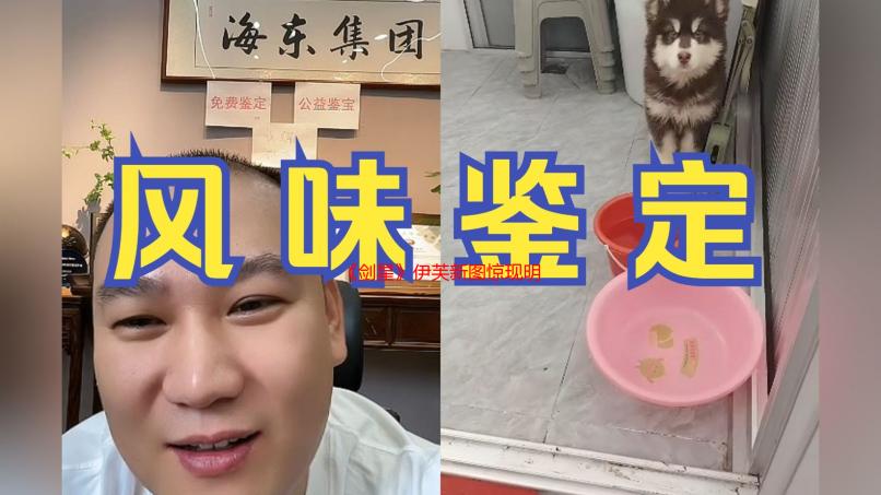 《剑星》伊芙新图惊现明显瑕疵！玩家火眼金睛揪细节