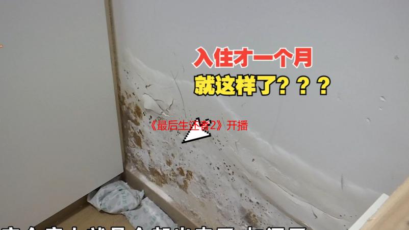 《最后生还者2》开播 佩德罗深度共鸣，新反派来袭！