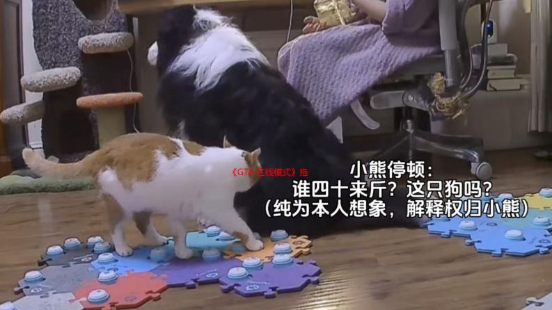 《GTA 在线模式》拖吊车服务与“电话杀机”双倍奖励来袭