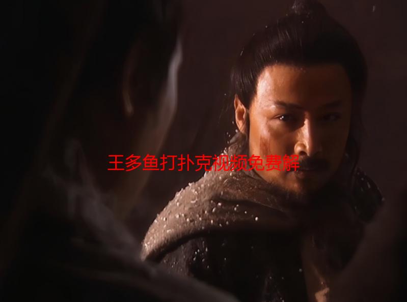 王多鱼打扑克视频免费解析：资源获取及观看指南