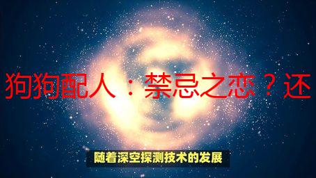 狗狗配人：禁忌之恋？还是心灵伴侣？我的真实经历与伦理思考