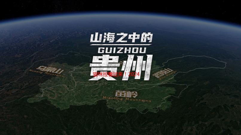 猫咪控看过来！2024最新地域网名3336，铲屎官专属！