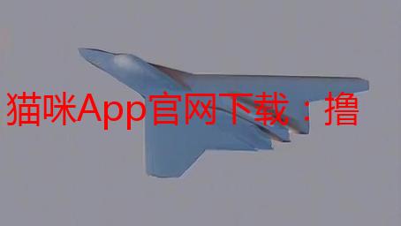 猫咪App官网下载：撸猫神器，云养猫不是梦