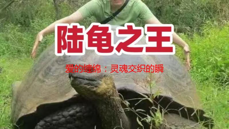 爱的缠绵：灵魂交织的瞬间