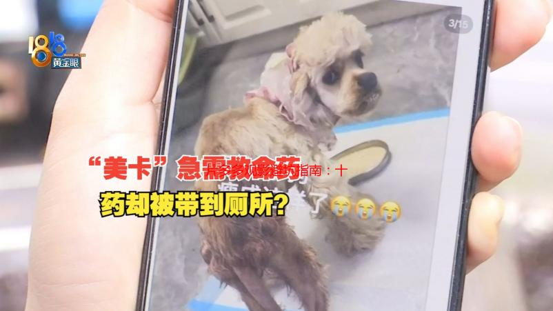 片多多观影避坑指南：十年老粉的私藏片单与省钱秘籍