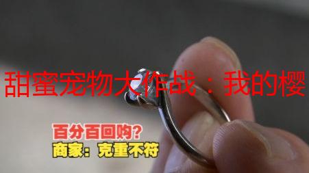 甜蜜宠物大作战：我的樱花季“看守”日记