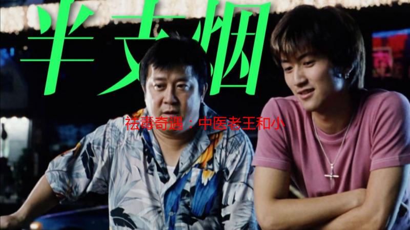 祛毒奇遇：中医老王和小雨的健康守护之旅