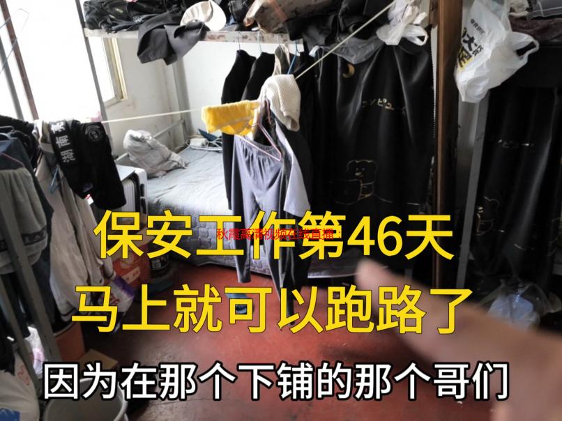 秋霞高清视频在线直播：深夜福利，独家揭秘宅男宅女的快乐源泉