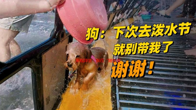 穿越异世：我在“随处做X”世界里的奇幻漂流