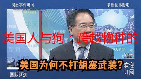 美国人与狗：跨越物种的DNA羁绊，探寻功能与作用