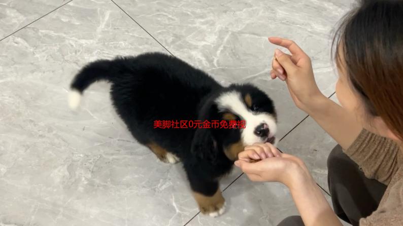 美脚社区0元金币免费视频：我的足尖秘密花园