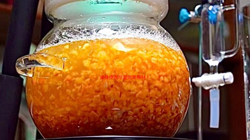 紧身皮衣尽显完美身材！《忍者龙剑传3》推出霞手办