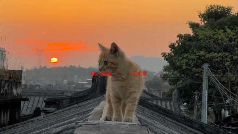 精产国品一二三：手机视频深度测评，揭秘选择盲点