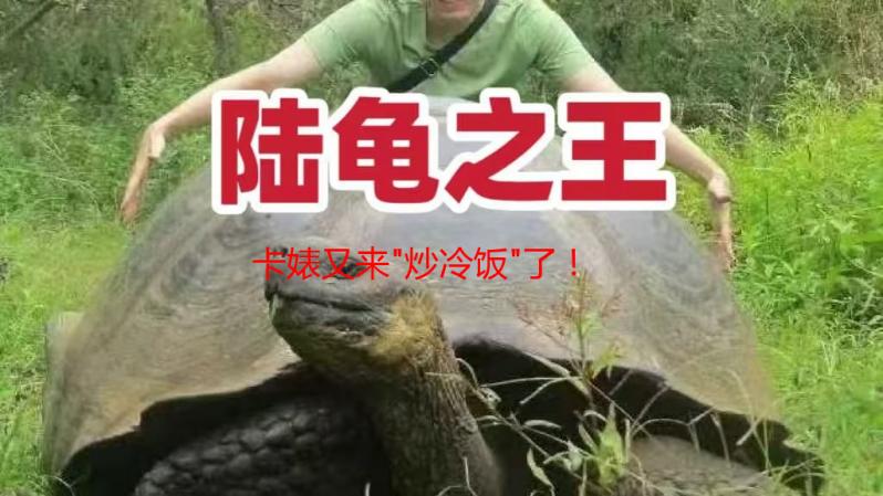 卡婊又来
