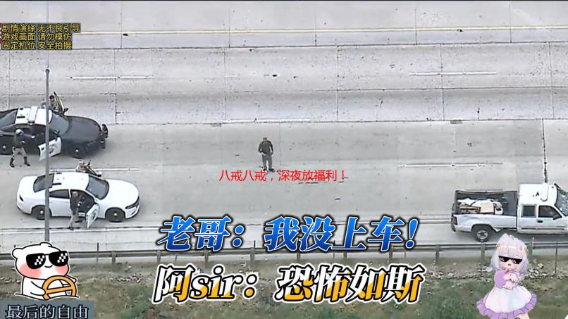 八戒八戒，深夜放福利！独家免费在线观看，错过后悔！