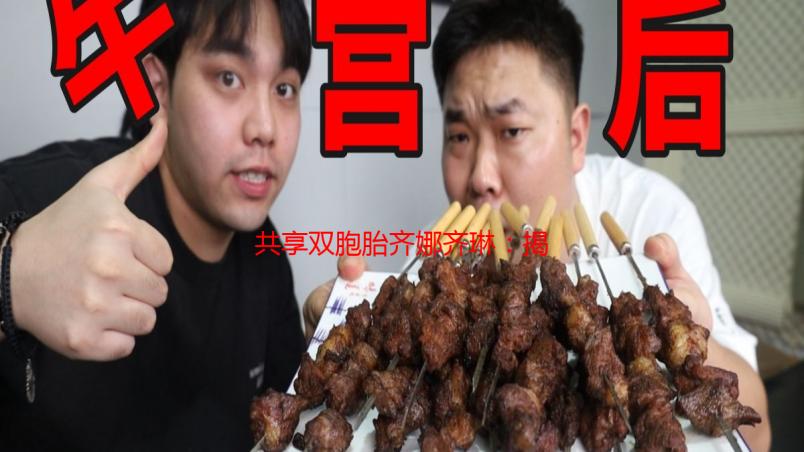共享双胞胎齐娜齐琳：揭秘她们的独特生活与成长历程