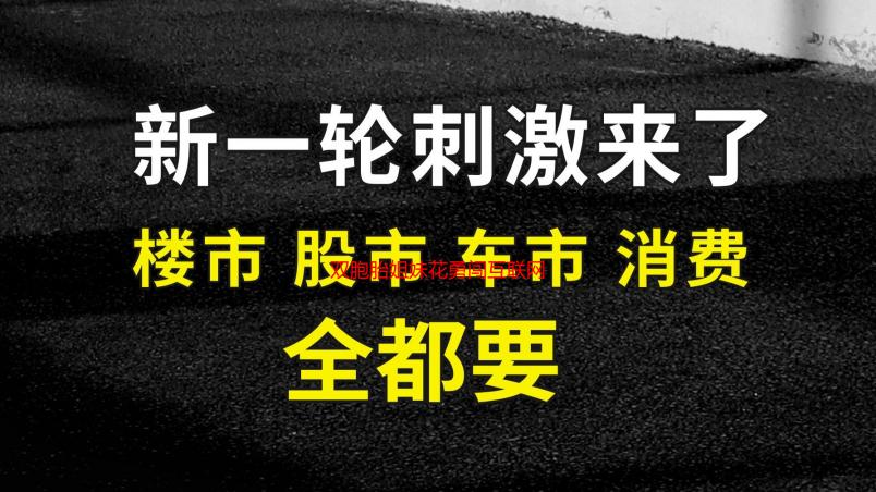 双胞胎姐妹花勇闯互联网：从零开始的创业奇迹
