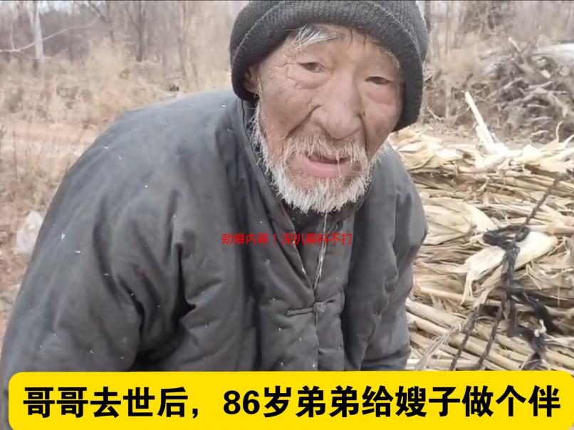 劲爆内幕！深扒黑料不打烊官网背后的真相