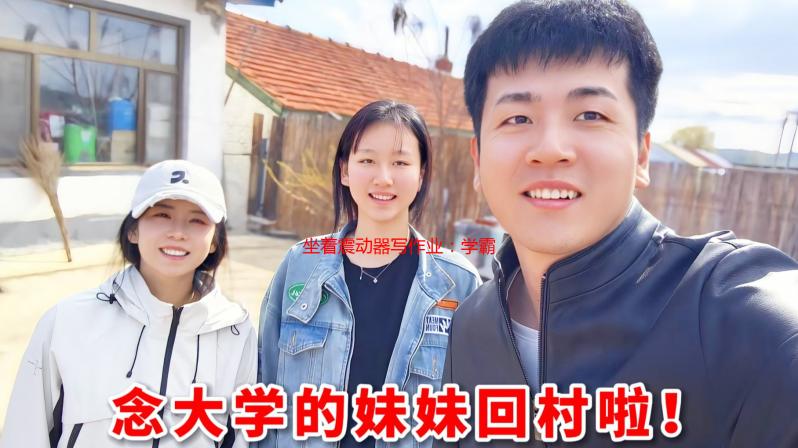 坐着震动器写作业：学霸的秘密武器还是分心陷阱？