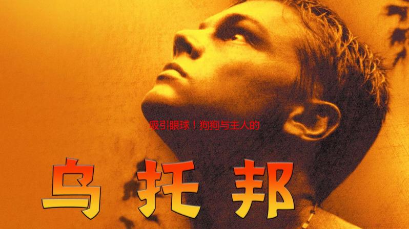 吸引眼球！狗狗与主人的“亲密接触”为何变成“生死时速”？