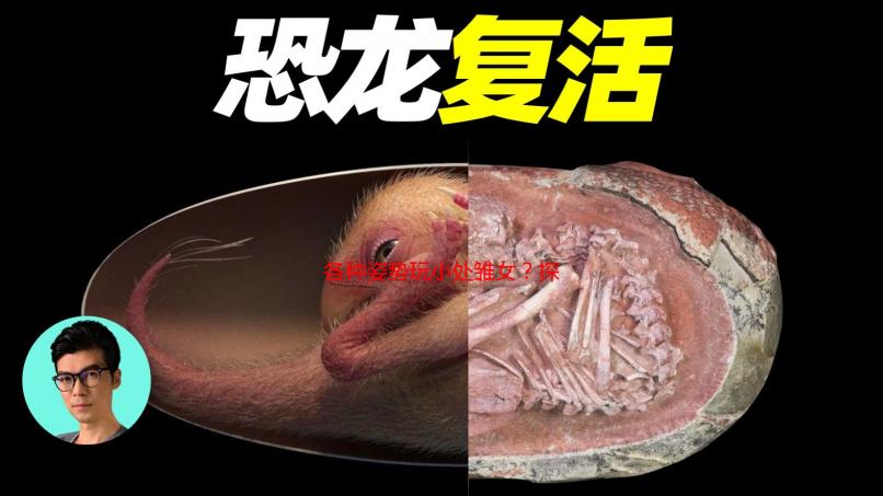 各种姿势玩小处雏女？探索少女的身体奥秘与性教育的误区