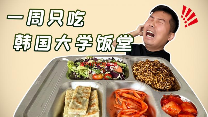 国产377VC精华2真能祛斑吗？成分功效深度解析及用户真实评价
