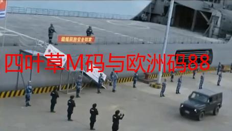 四叶草M码与欧洲码888：深度解析它们的区别与选择技巧