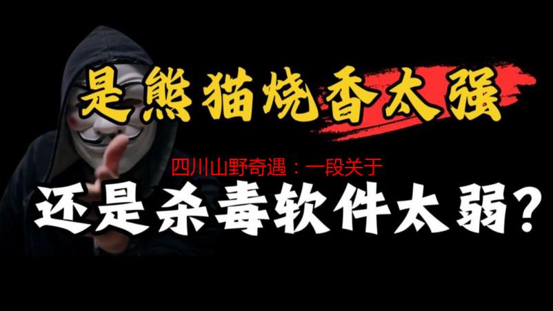 四川山野奇遇：一段关于爱与衰老的真实对白