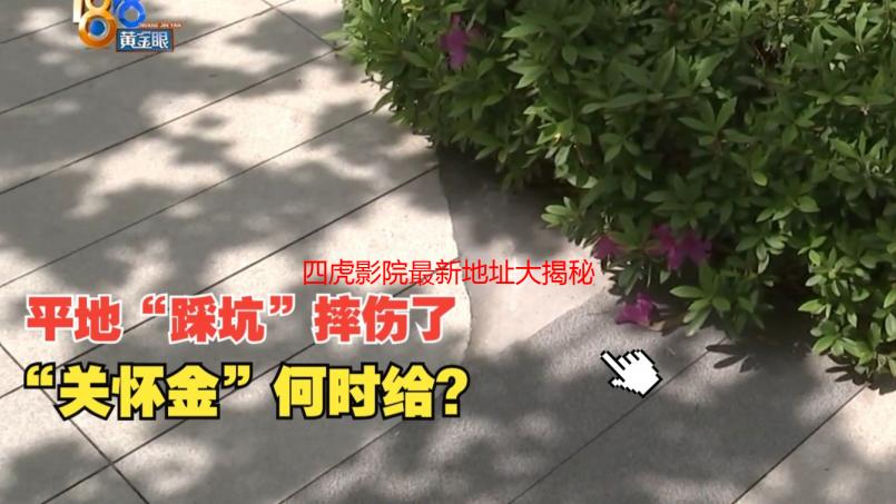 四虎影院最新地址大揭秘：深夜福利，老司机带路！