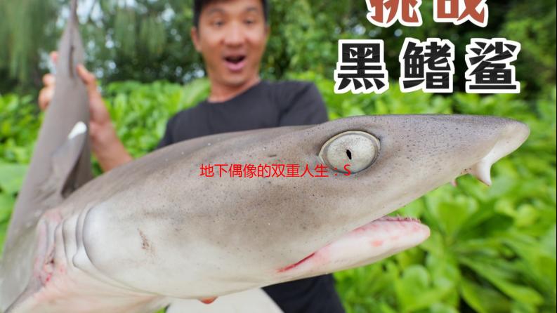 地下偶像的双重人生：SANS男主的爱与挣扎
