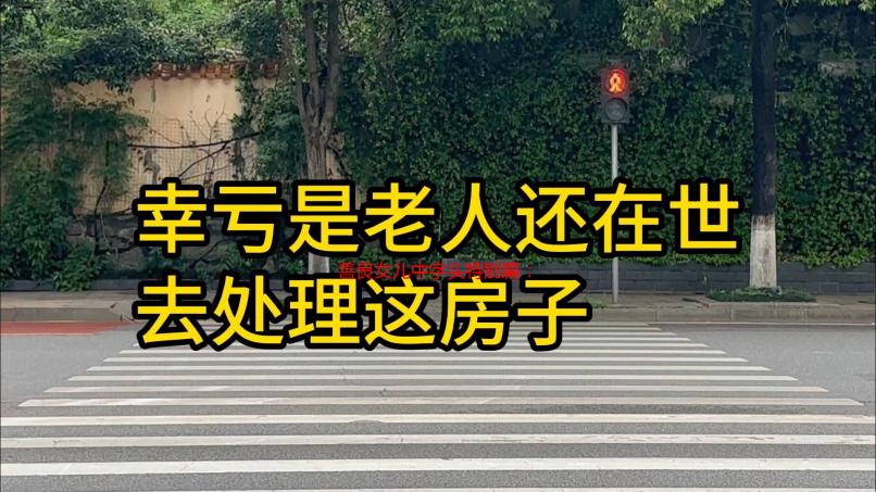 善良女儿中字头特别篇：泪崩！隐藏剧情大揭秘，原来她默默承受了这么多！