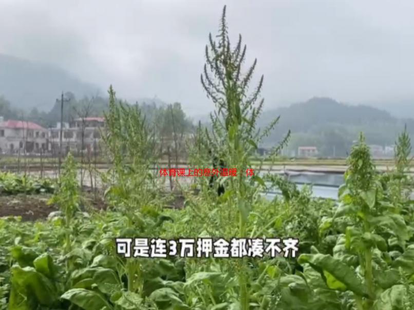 体育课上的意外温暖：体育老师抱着我上了一节课