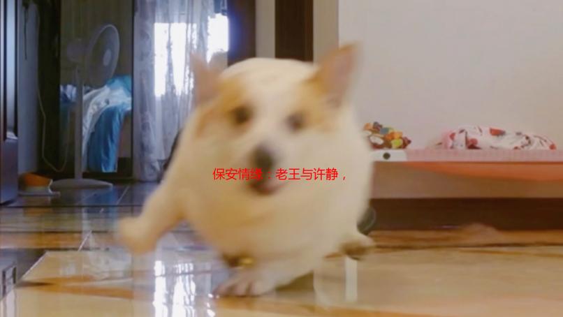 保安情缘：老王与许静，平凡岗位上的动人爱情故事