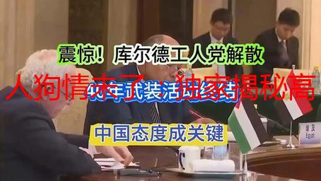 人狗情未了：独家揭秘高清1080p人狗胶配方，打造和谐伴侣生活！