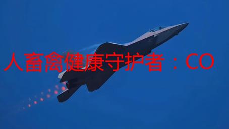 人畜禽健康守护者：CORPORATION在线咨询，我的创业故事
