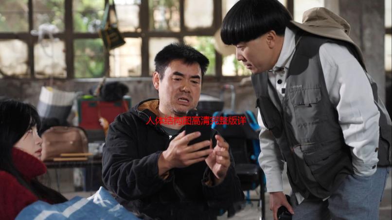 人体结构图高清完整版详解：肌肉骨骼系统、器官系统图解及作用说明