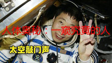 人体奥秘：一窥究竟的人体部位图谱