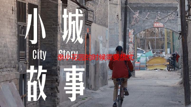 亲小花园的时候需要垫枕头吗？深度解析及实用建议