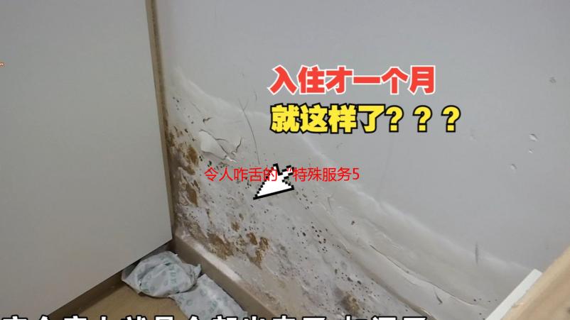 令人咋舌的“特殊服务5星辰”体验：一次颠覆认知的奢华之旅