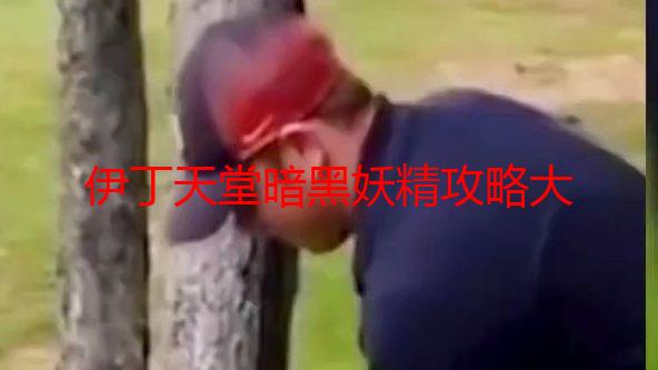 伊丁天堂暗黑妖精攻略大全：技能加点、装备选择及副本通关技巧详解