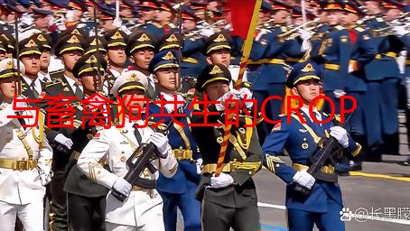 与畜禽狗共生的CROPROATION：我的田园牧歌与科技实践
