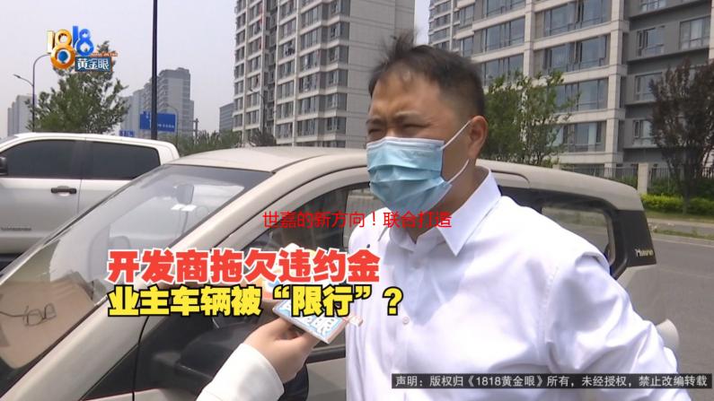 世嘉的新方向！联合打造《如龙》系列VR空间游戏！