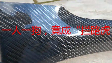 一人一狗，竟成“拦路虎”？6小时困境背后的反思