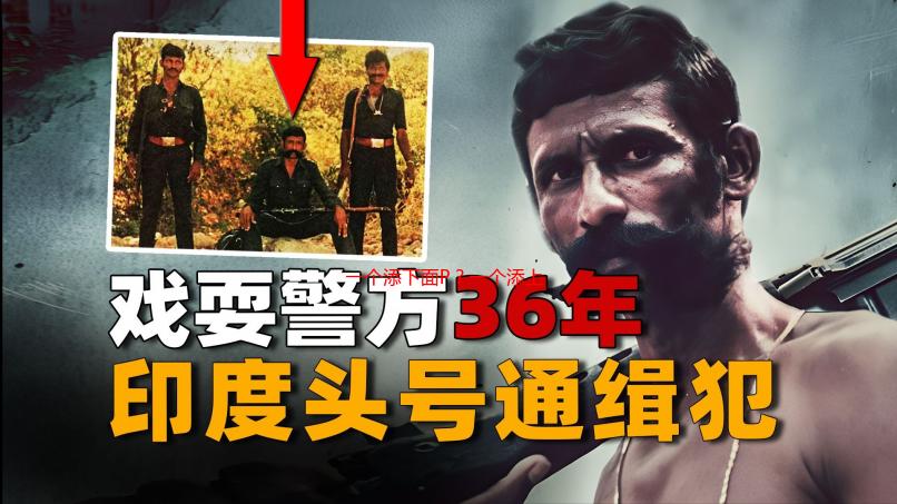一个添下面P？一个添上面P？多年老码农带你彻底搞懂！