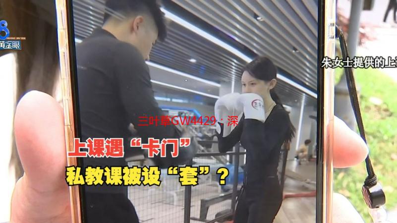 三叶草GW4429：深度解析其卓越性能与应用领域
