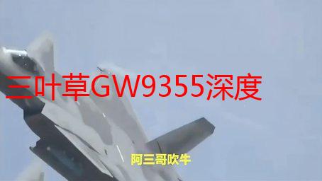 三叶草GW9355深度解析：性能、特点及应用场景详解