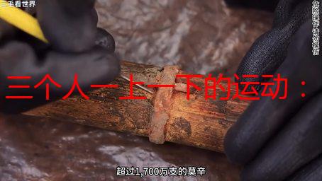 三个人一上一下的运动：那些年，我们一起“摇摆”的青春记忆