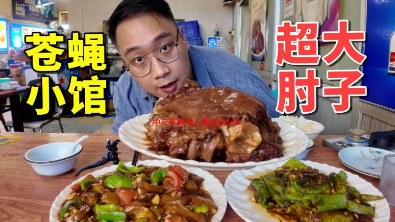 中文字幕导入是乱码MA？快速解决字幕乱码问题的终极指南