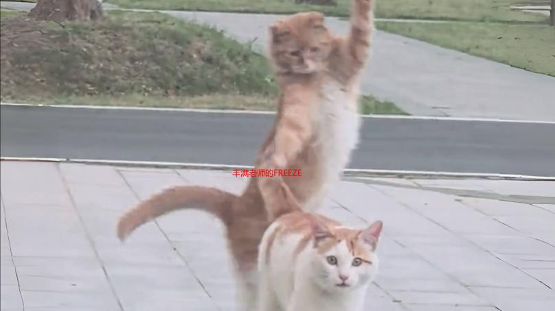 丰满老师的FREEZEFRAME：我的时间静止与心动瞬间